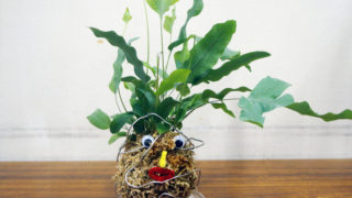 【寄せ植え、苔玉、多肉植物講座】