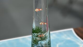 「花の生活を楽しむ」２回目